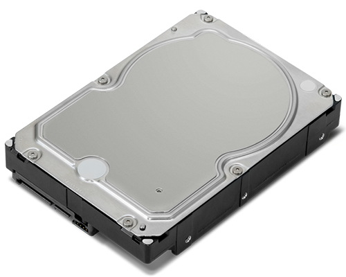 Lenovo Enterprise - Festplatte - 1 TB - intern - 3.5" (8.9 cm)