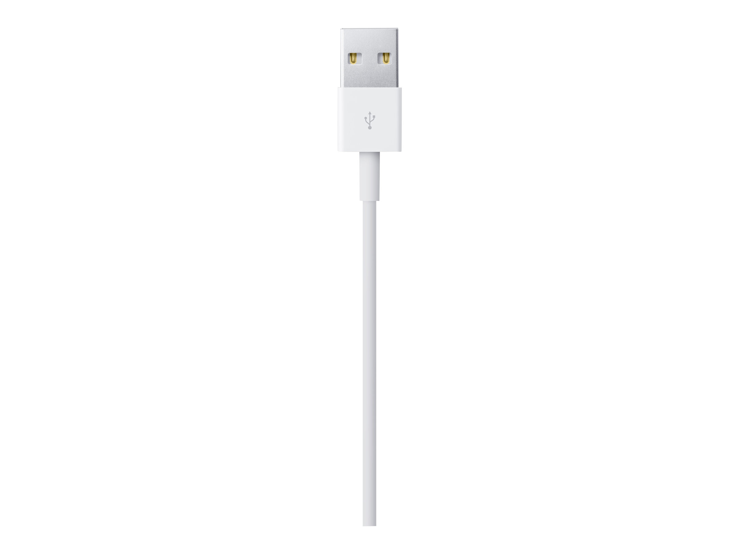 Apple Lightning-Kabel - Lightning männlich zu USB männlich - 1 m - für Apple iPad/iPhone/iPod (Lightning)