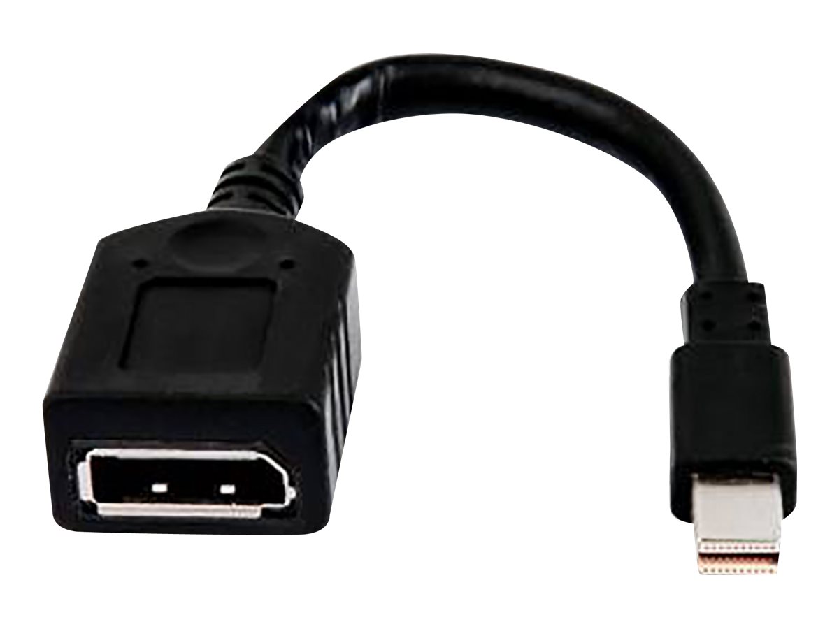 HP  DisplayPort-Kabel - Mini DisplayPort (M)