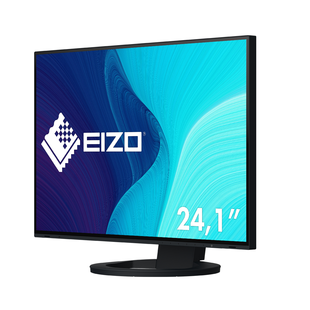 EIZO FlexScan EV2495-BK - Mit FlexStand - LED-Monitor - 61.1 cm (24.1")
