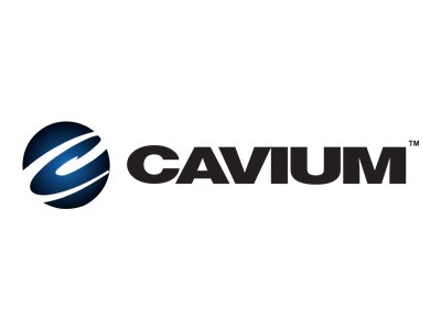 Fujitsu Cavium FastLinQ QL41134HLCU - Netzwerkadapter Low-Profile