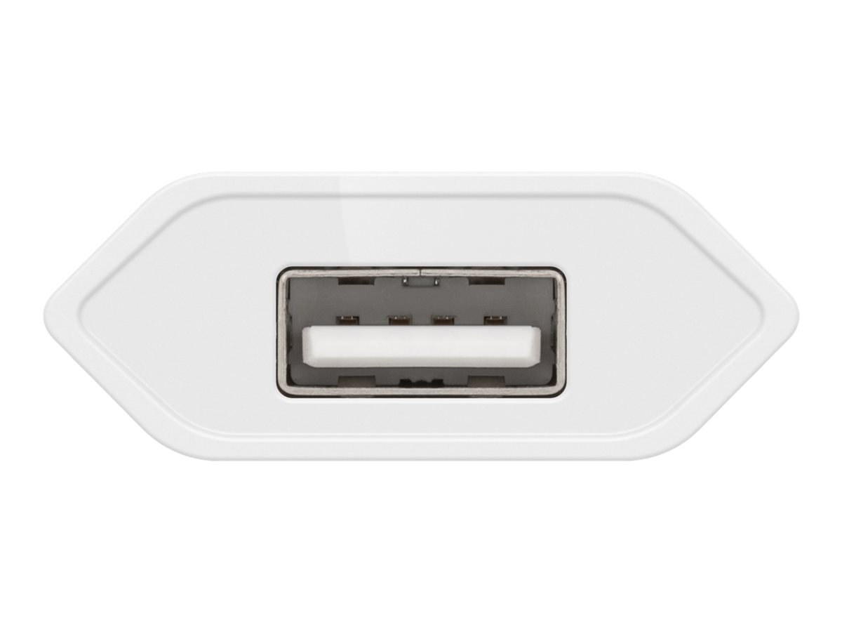 Wentronic goobay - Netzteil - 5 Watt - 1 A (USB) - auf Kabel: Lightning - weiß - Europa - für Apple iPad/iPhone/iPod (Lightning)