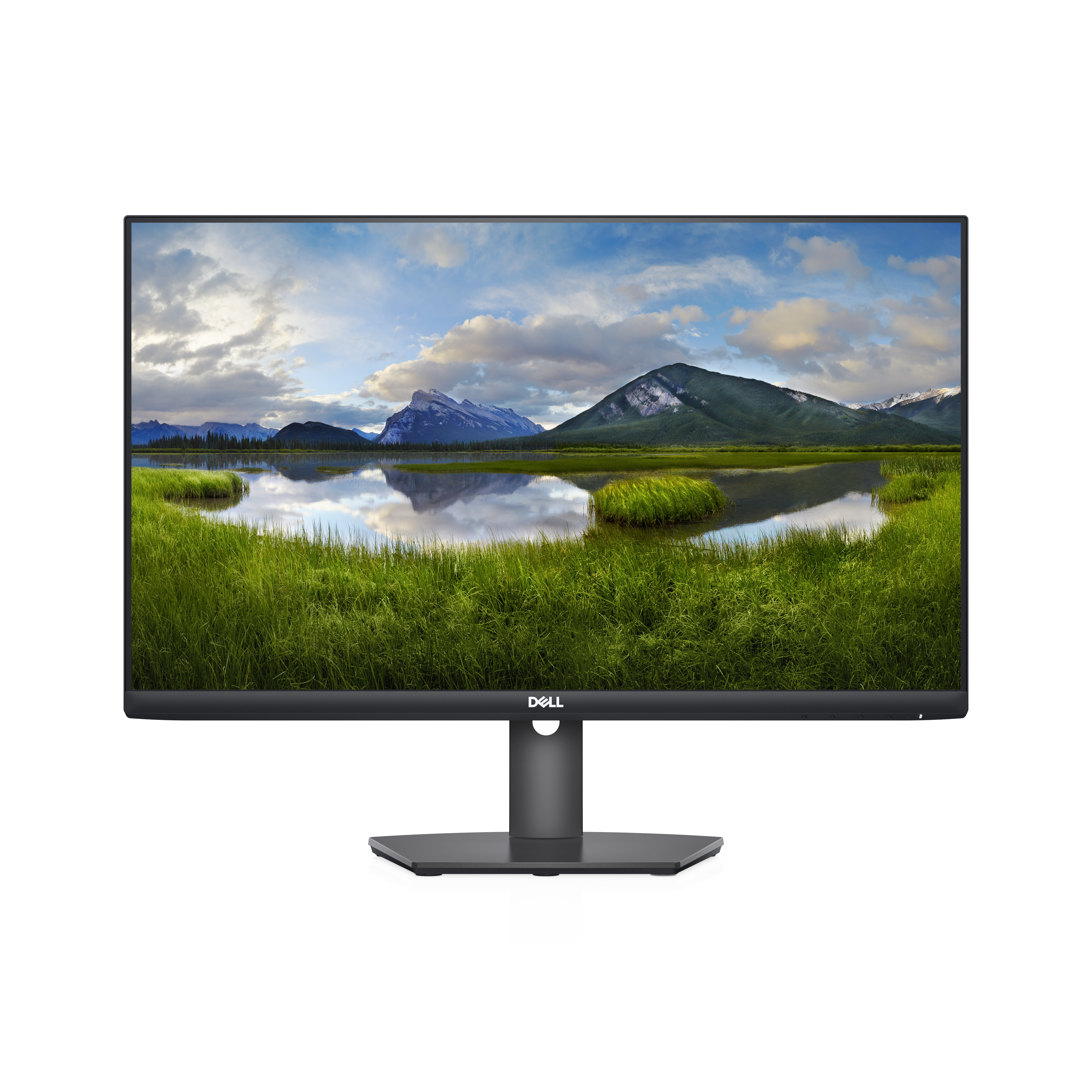 Dell S2421HS - LED-Monitor - 60.5 cm (23.8") - 1920 x 1080 Full HD (1080p)