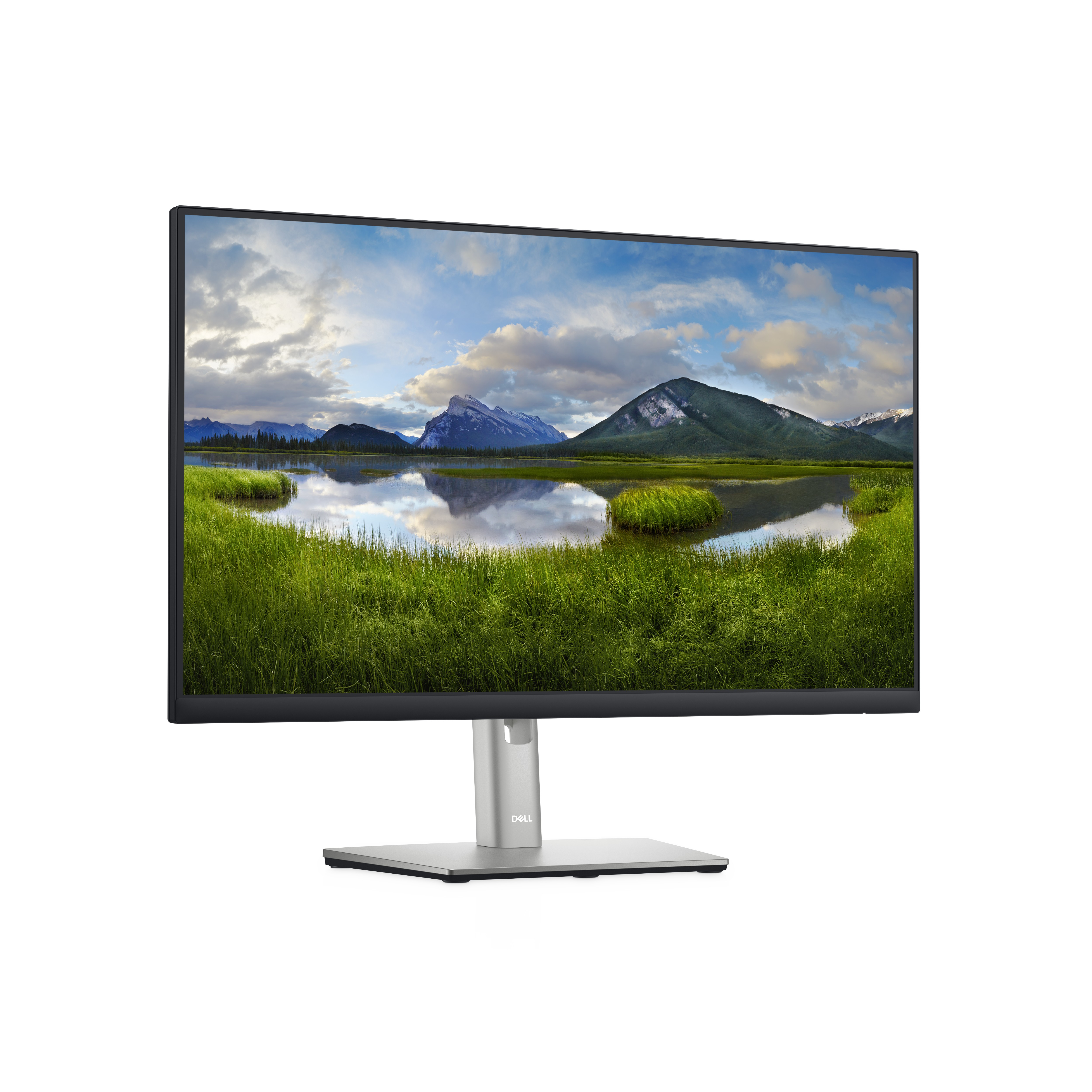 Dell P2422H - LED-Monitor - 60.5 cm (23.8") - 1920 x 1080 Full HD (1080p)