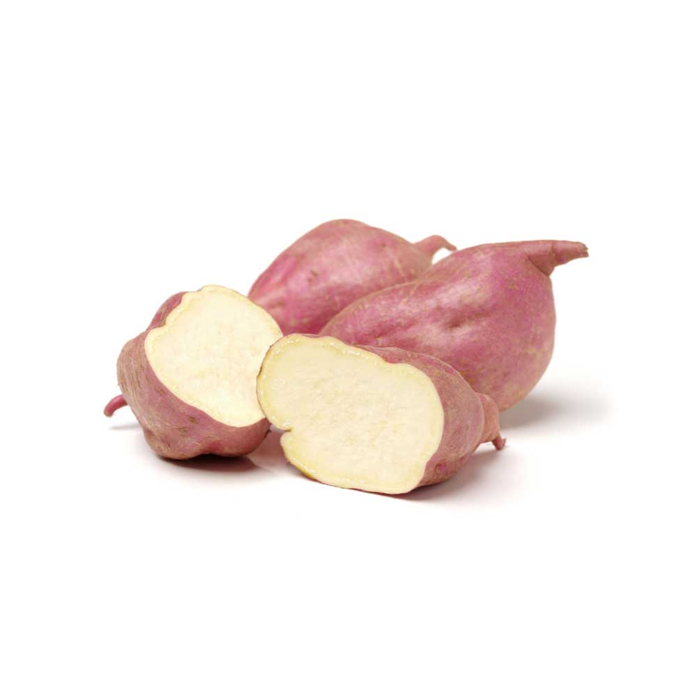 Süßkartoffel / Erato® White - 3 Pflanzen im Wurzelballen