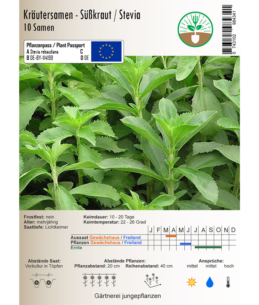 Süßkraut / Stevia - 10 Samen