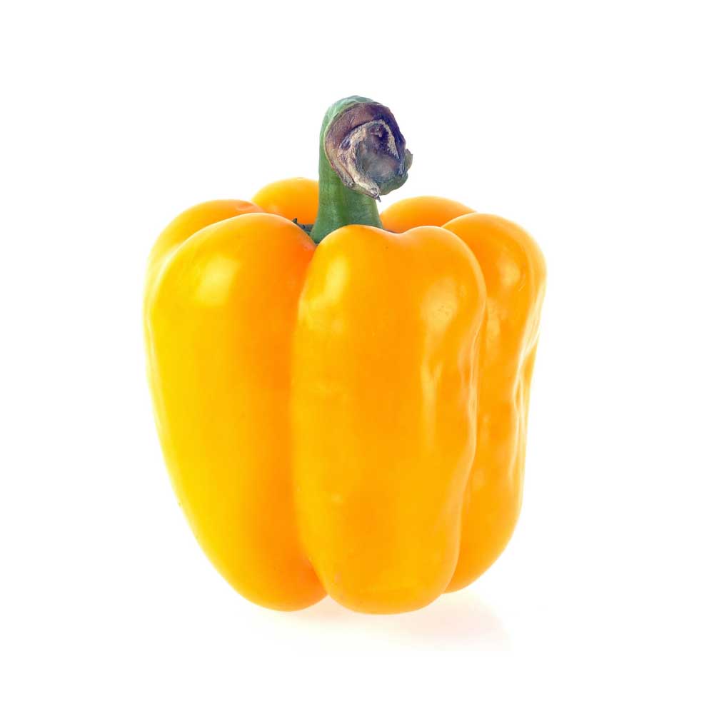 Blockpaprika / Beluga® Yellow F1 - 3 Pflanzen im Wurzelballen