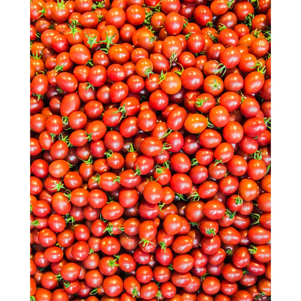 Cherry-Tomate / Mirado® Red F1 - 3 Pflanzen im Wurzelballen