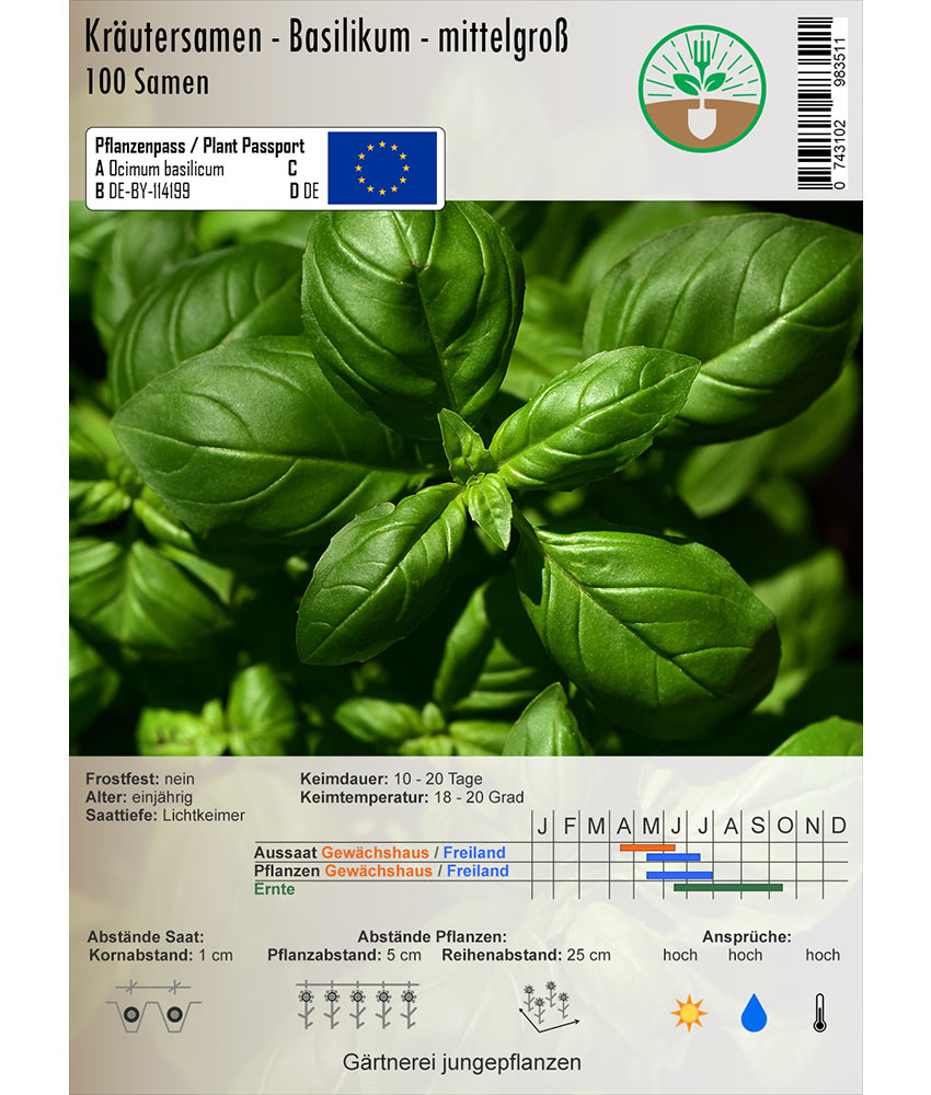Basilikum / mittelgroßblättrig/grün - 100 Samen