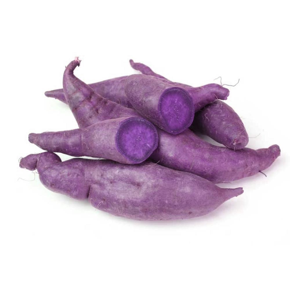 Süßkartoffel - Erato® Violet - 3 Pflanzen im Wurzelballen