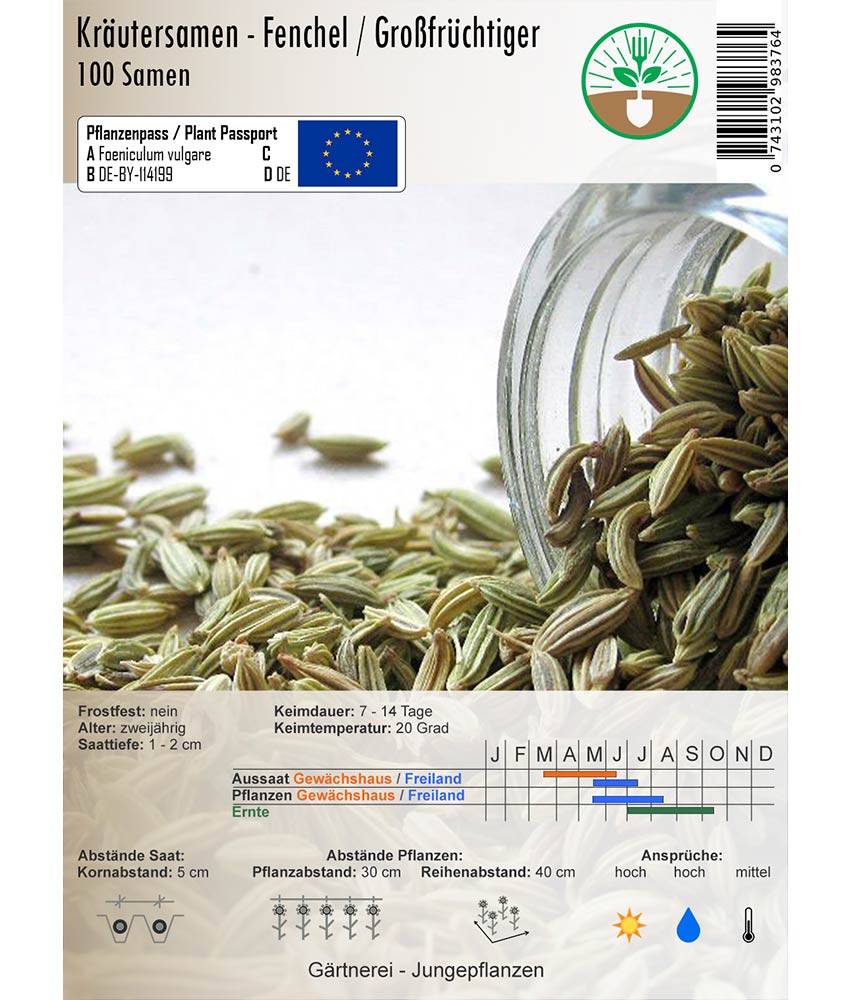 Fenchel / Großfrüchtiger - 100 Samen