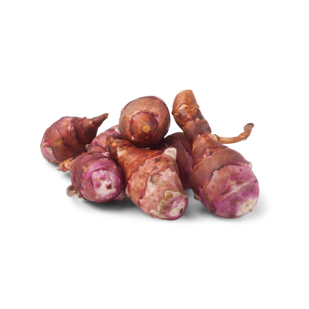 Topinambur / Papas® - 3 Pflanzen im Wurzelballen