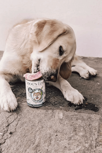 Dog's Love Insekt pur