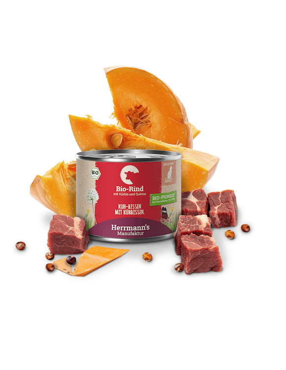 Herrmanns Rind mit Kürbis und Quinoa