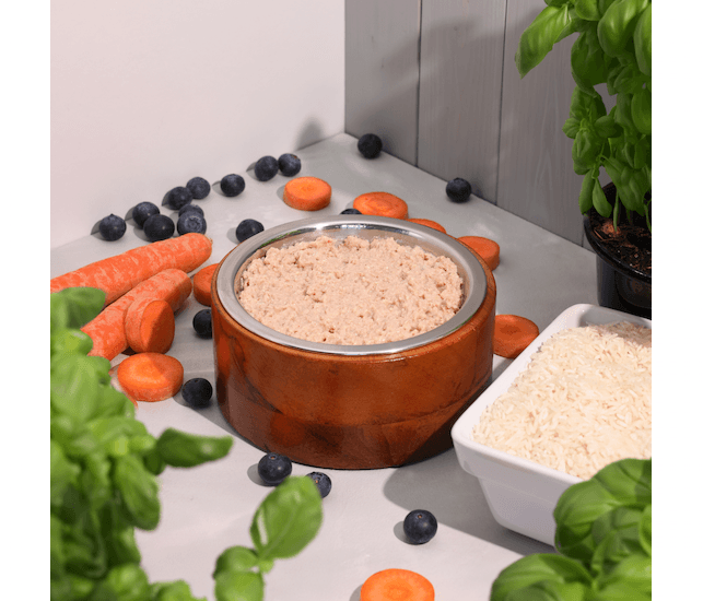 Biopur Magen-Darm-Diätfutter