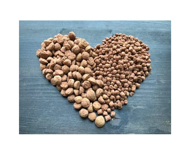 Veganes Hundefutter von Vegan4Dogs online bestellen – günstig testen