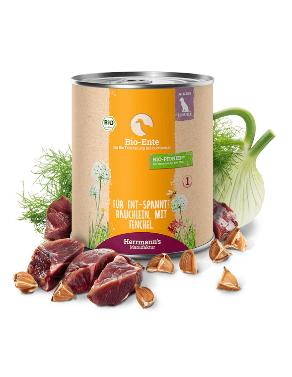Herrmanns Ente mit Fenchel und Buchweizen