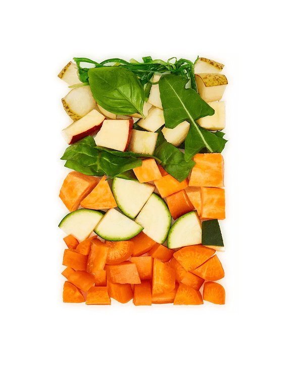 Dog's Love Greens Gartentopf Gemüse & Obst (vegan)