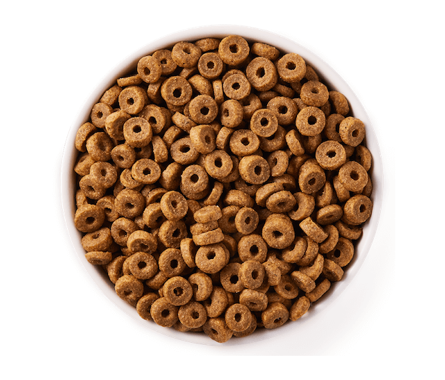 Yarrah Katzentrockenfutter Adult Fisch