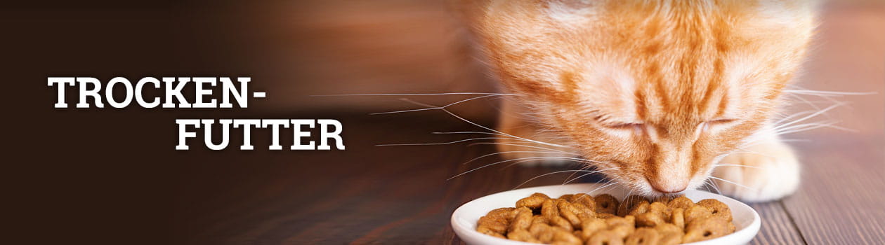 Trockenfutter