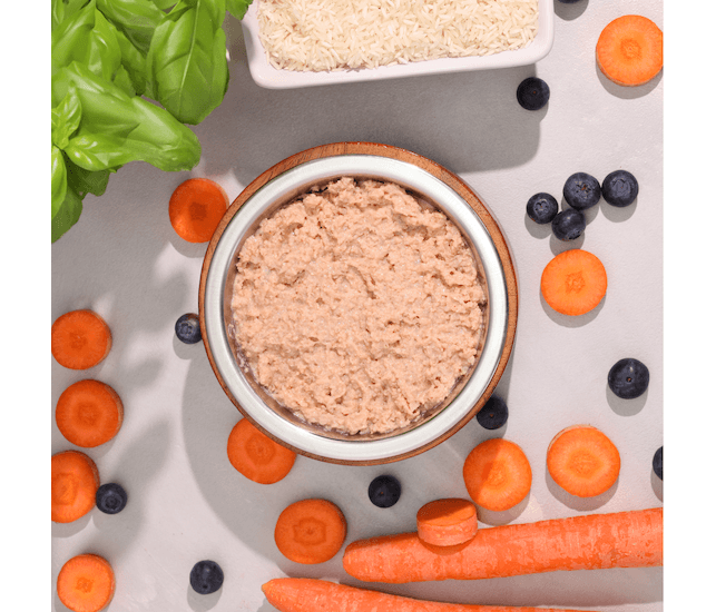 Biopur Magen-Darm-Diätfutter