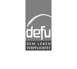 Defu