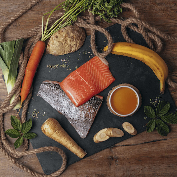 Liebesgut Lachs mit Banane und Pastinake (Biokost Adult)