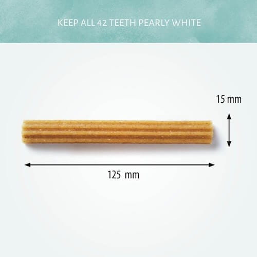 Antos Cerea Eurostar kleine vegane Kaustange