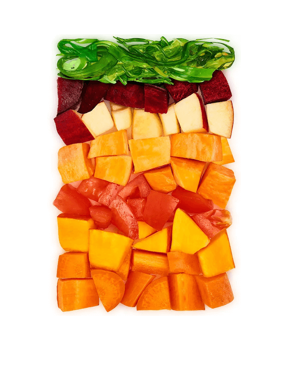 Dog's Love BIO REDS mit frischem Gemüse & Obst (vegan)