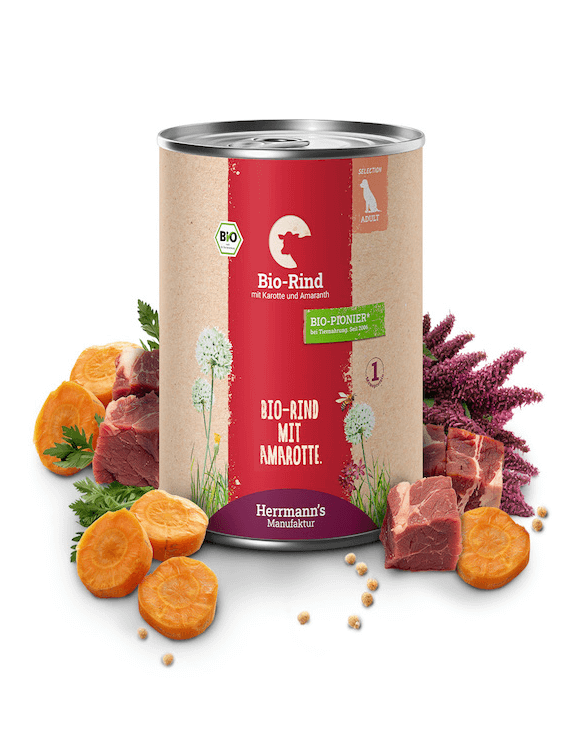 Herrmanns Rind mit Karotten und Amaranth
