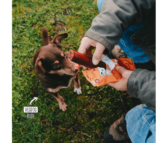Vegdog Chevvies XL rauchig-herzhaft