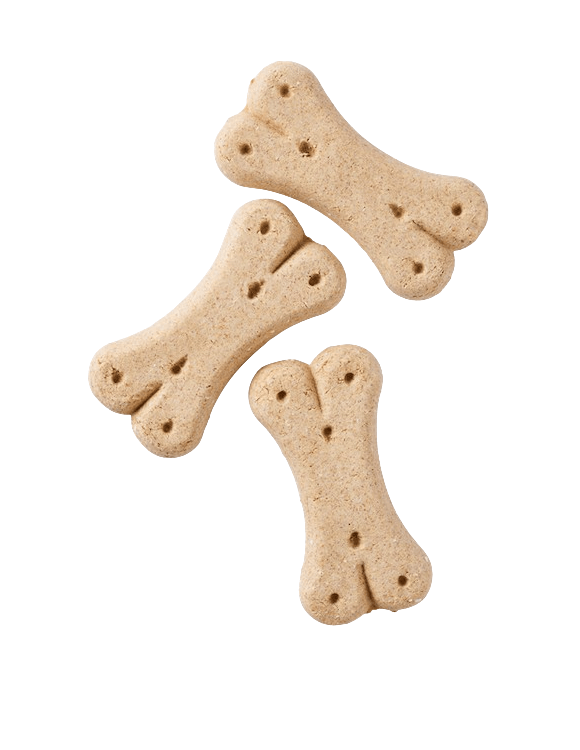 Yarrah Hundekekse Vega für größere Hunde (Dog Biscuits)