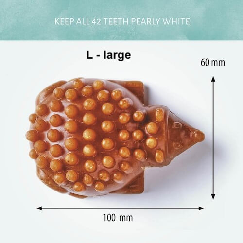 Antos Cerea bunte vegane Igel Kausnack
