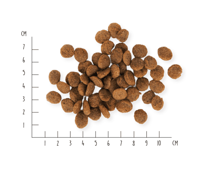 Vegdog Trockenfutter Farmers Crunch