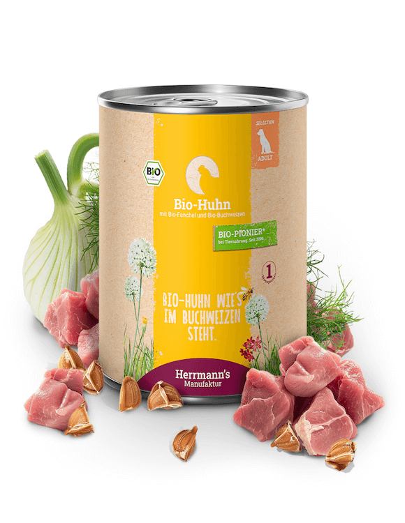 Herrmanns Huhn mit Fenchel und Buchweizen