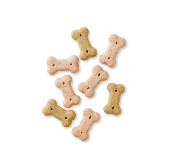 Yarrah Hundekekse Vega für kleinere Hunde (Multi Biscuits)