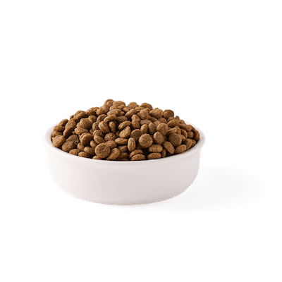 Yarrah Trockenfutter Wheat-Free für sterilisierte Katzen