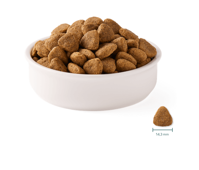 Yarrah Hundetrockenfutter Vega weizenfrei