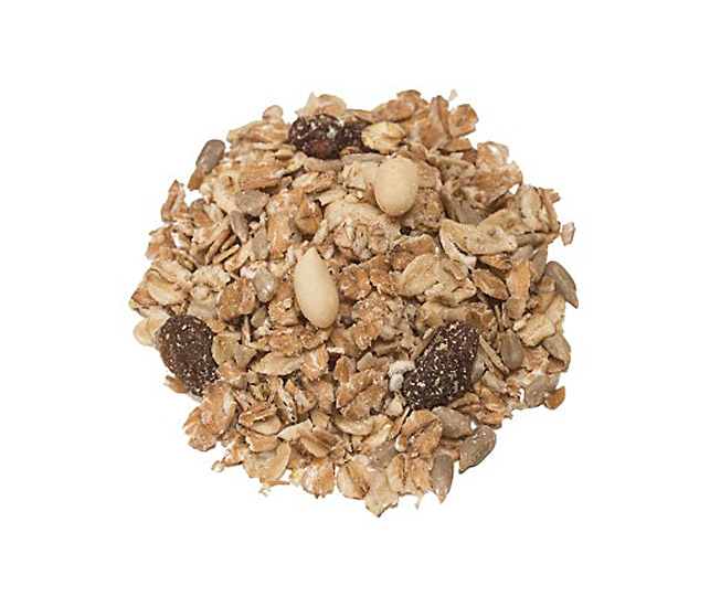 Defu ganzjähriges Fettfutter für alle Wildvögel