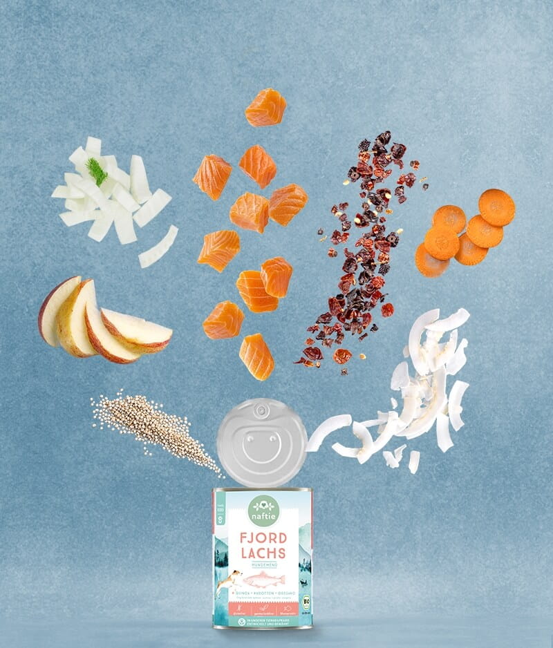 Naftie Fjord Lachs mit Quinoa, Karotten & Oregano
