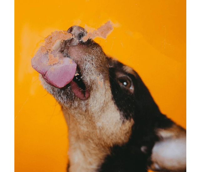 Vegdog Levervurst Schlecksnack aus der Tube