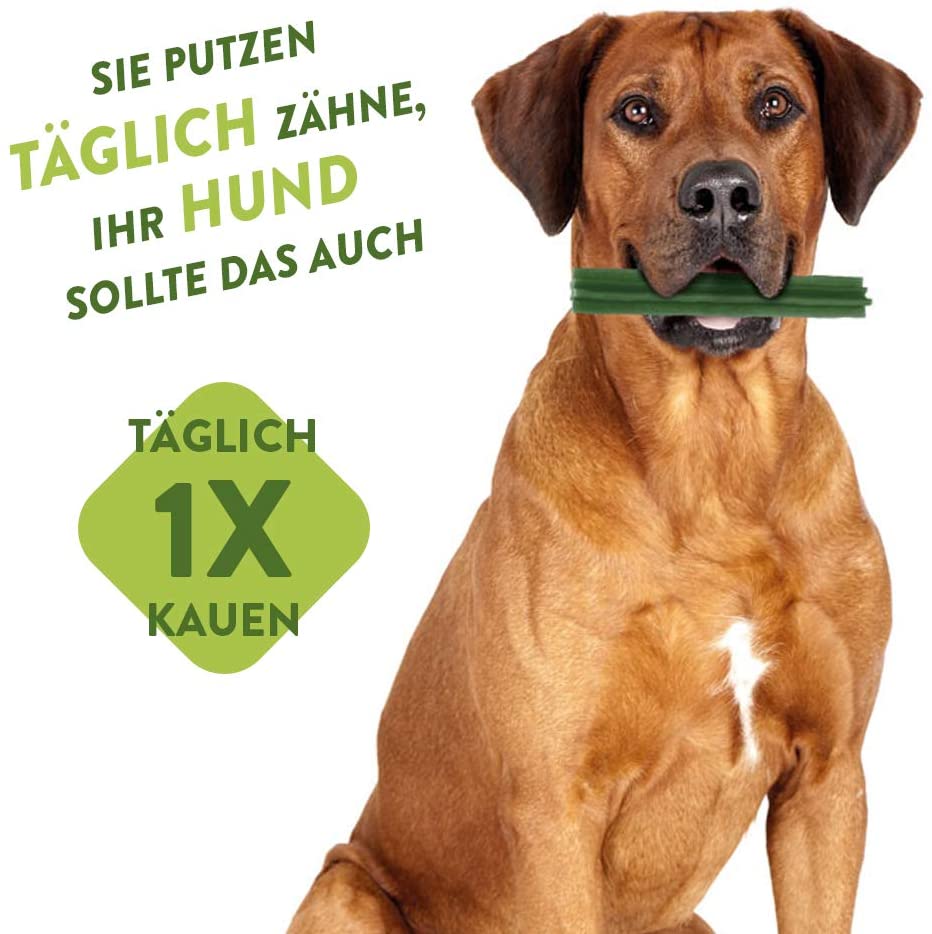 Whimzees Zahnbürste Kausnack - mit * = unverpackte Ware