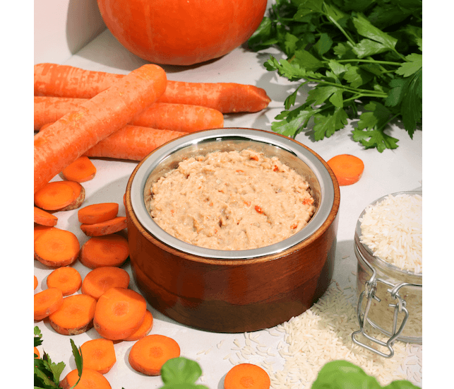 Biopur Rind - Leichte Kost