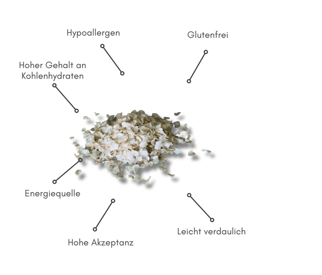 Biopur Reisflocken