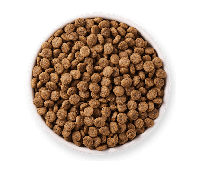 Yarrah Katzentrockenfutter Wheat-Free