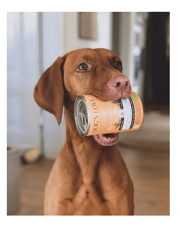 Dog's Love MOROSCHE Karottensuppe Suppe Hunde Schonkost