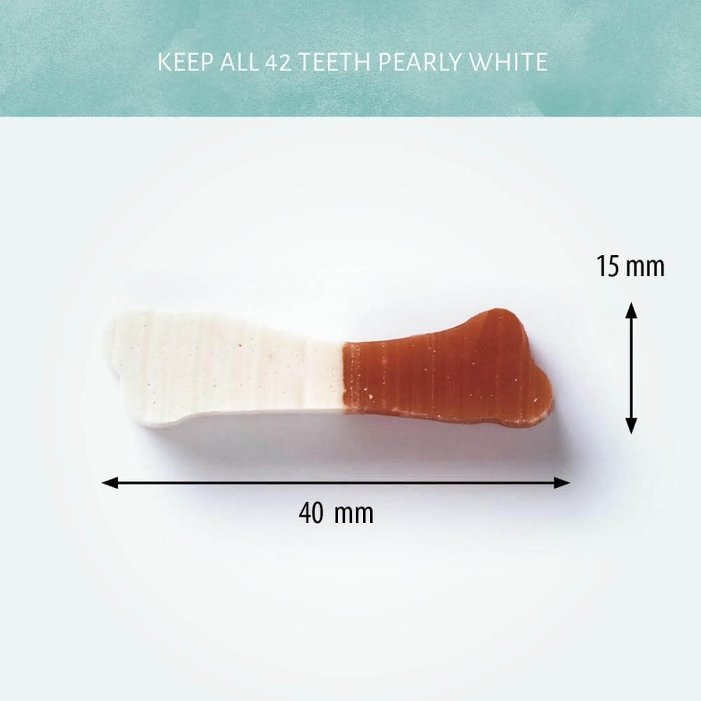 Antos Dental D'Light Bones