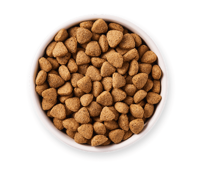 Yarrah Hundetrockenfutter Vega