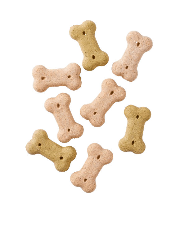 Yarrah Hundekekse Vega für kleinere Hunde (Multi Biscuits)