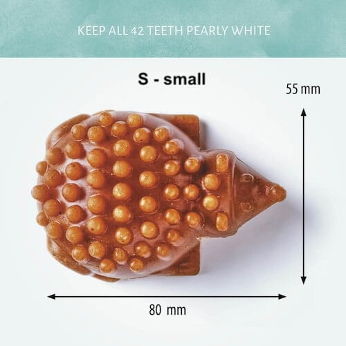 Antos Cerea bunte vegane Igel Kausnack